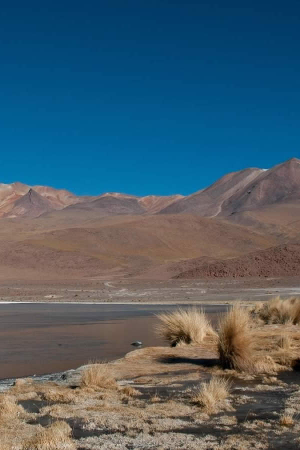 Más allá de Bolivia