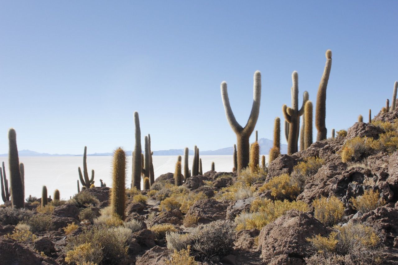 Tours Volcán Thunupa (2D/1N)