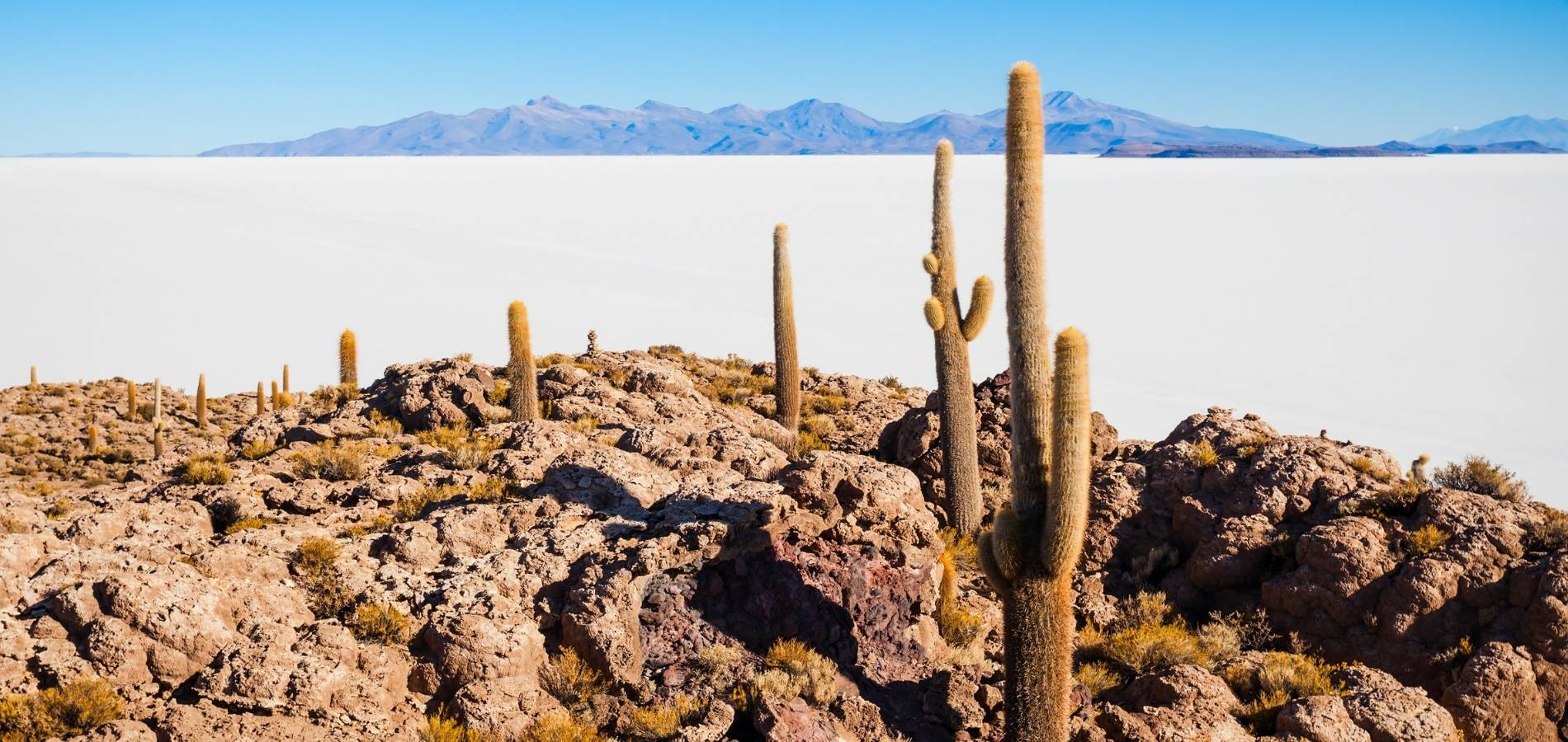 Salar Sud Lipez + Volcán Tunupha (4D/3N)