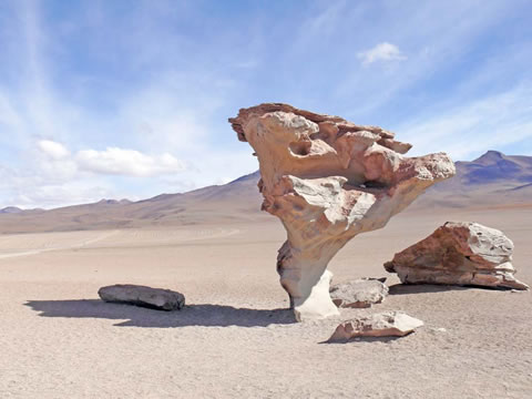 Arbol de piedra