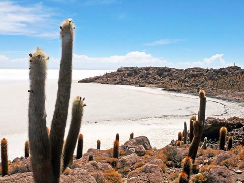 Isla Incahuasi